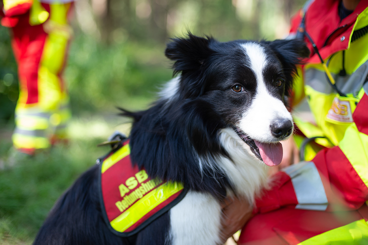 TIM_6979 klein.jpg
