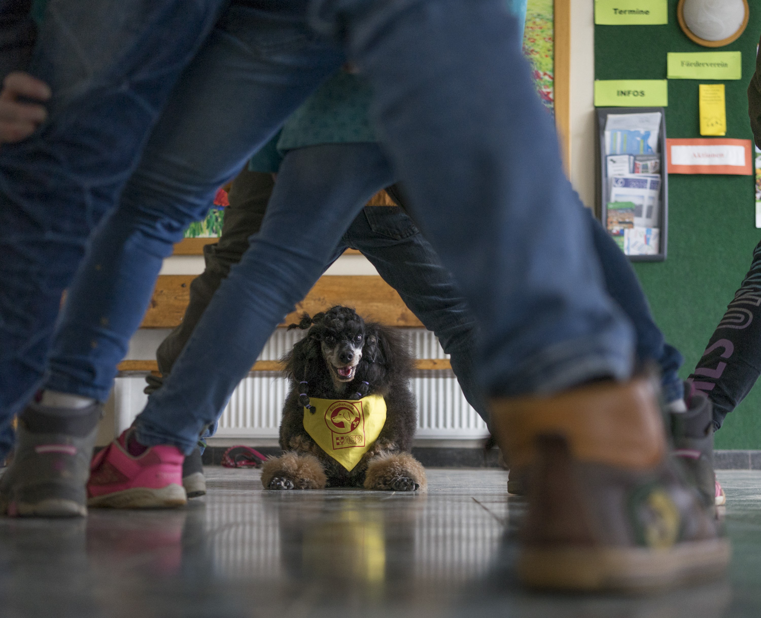 asb_goettingen_wuff_3 (1).JPG
